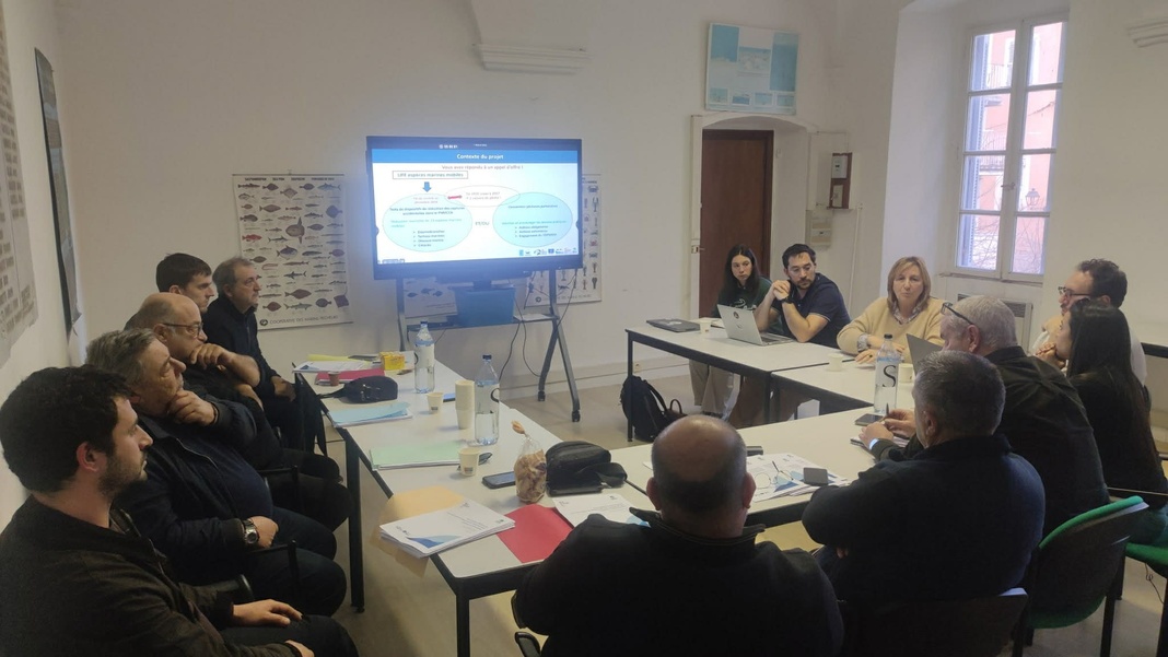 Réunion du 11/02/2026 pour le Life EMM et Convention pêcheurs partenaires Réunion du 11/02/2026 pour le Life EMM et Convention pêcheurs partenaires