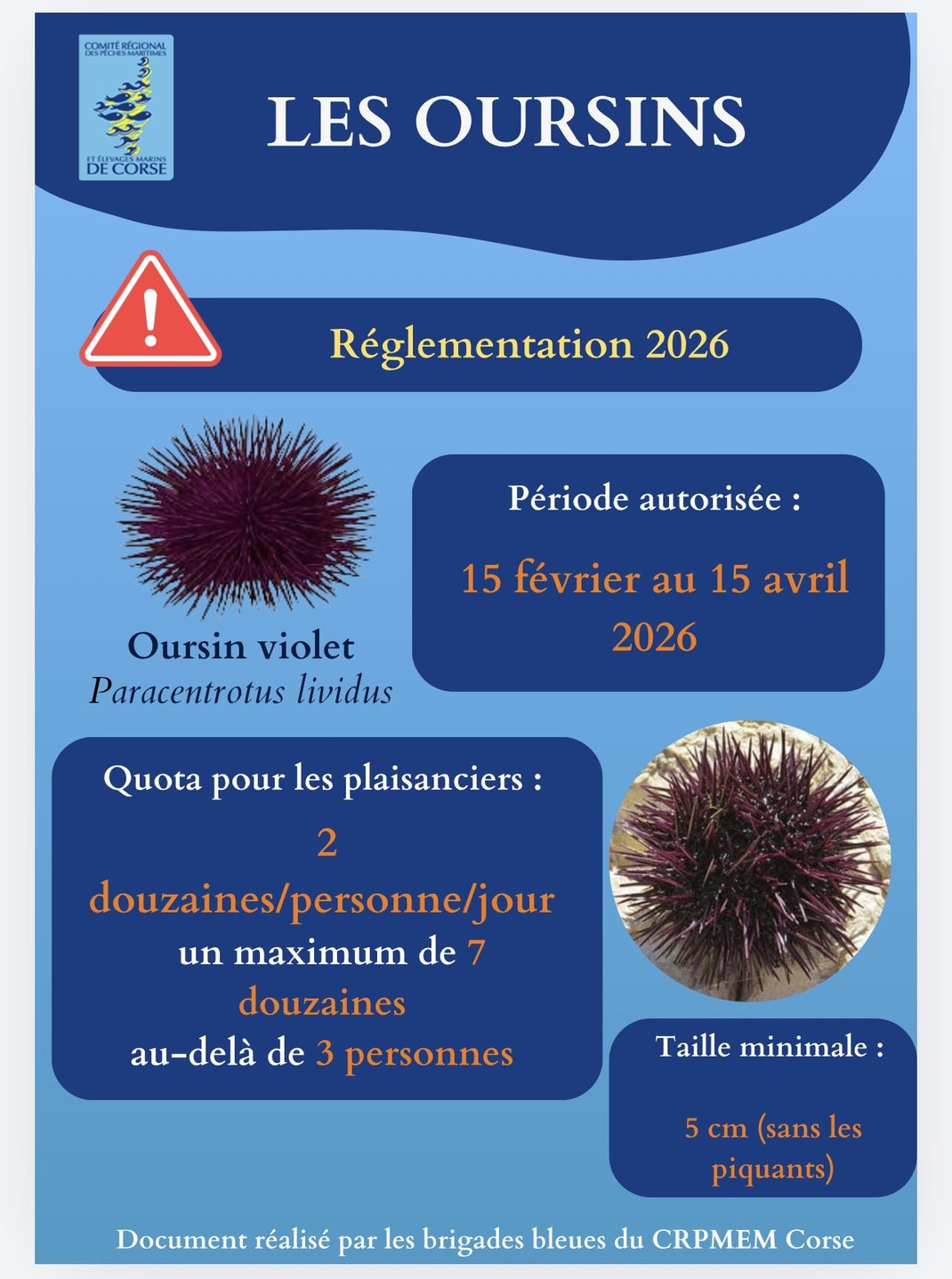 Ouverture de la saison Oursins 2026