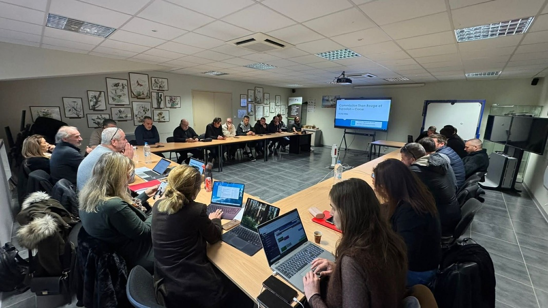 Réunion CTRE Corse du 13/02/2026 à Corte Réunion CTRE Corse du 13/02/2026 à Corte
