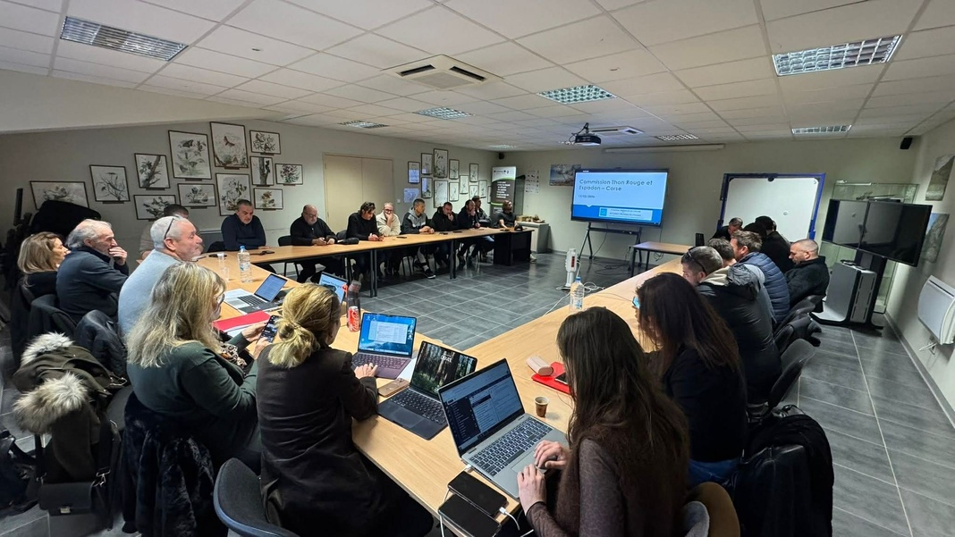 Réunion CTRE Corse du 13/02/2026 à Corte Réunion CTRE Corse du 13/02/2026 à Corte