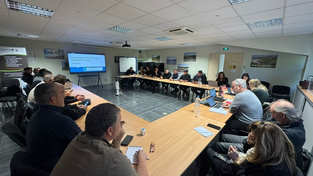 Réunion CTRE Corse du 13/02/2026 à Corte