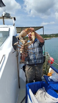 Prise du 18 mai 2015 Philippe Botti patron pêcheur à Bonifacio 6kg hum le top