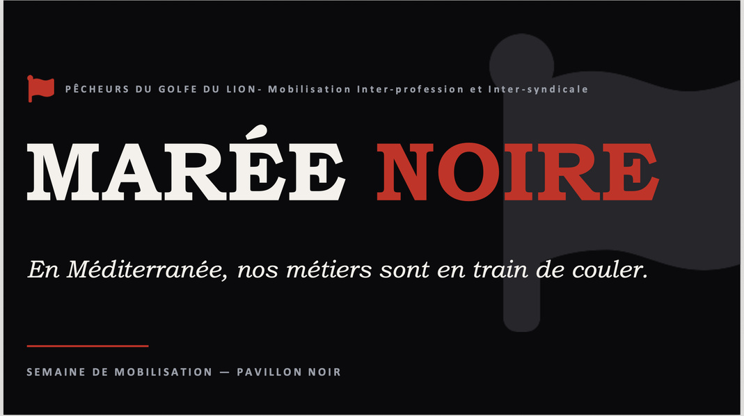Article n°1243
