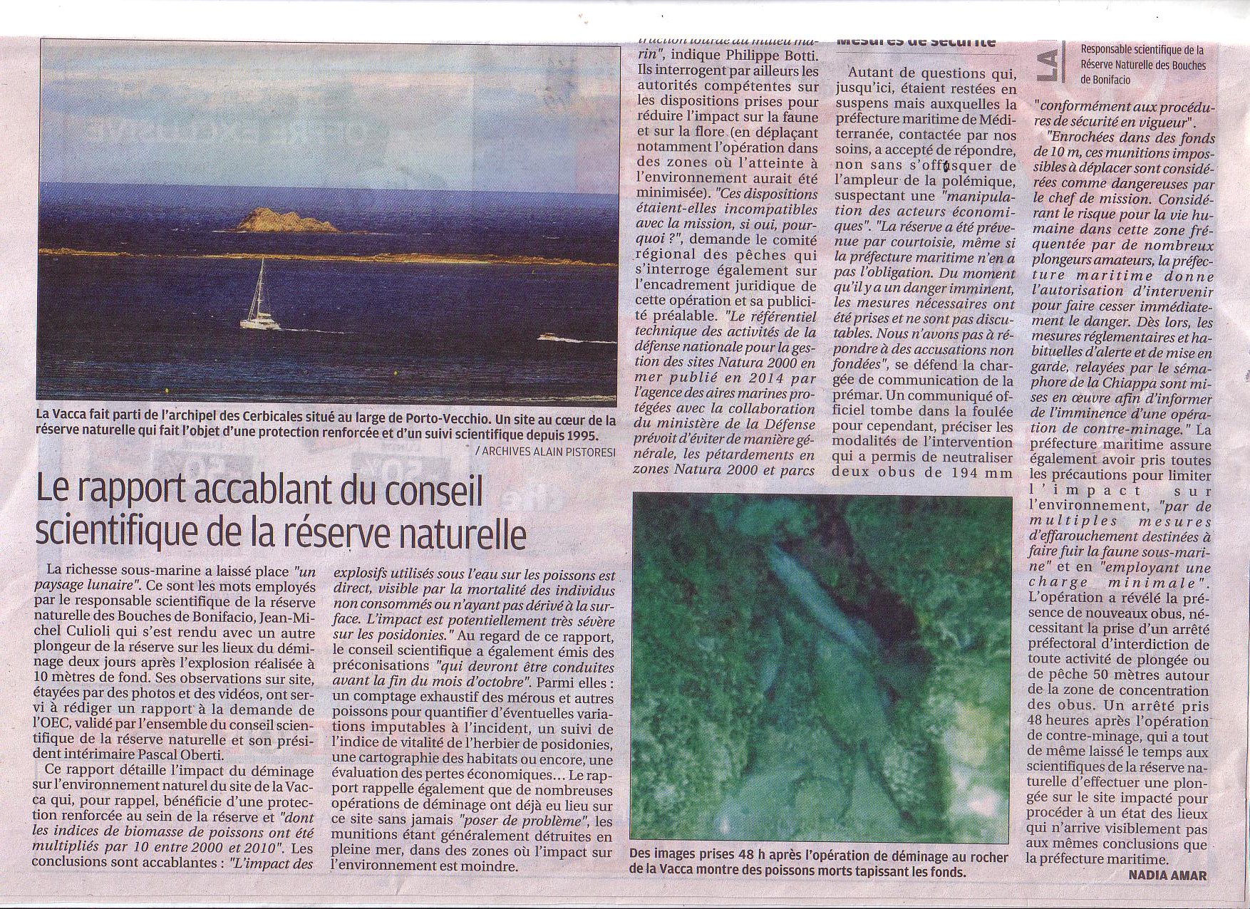 Déminage de la Vacca - réaction du Comité Régional des Pêches et de la prud'homie de Bonifacio