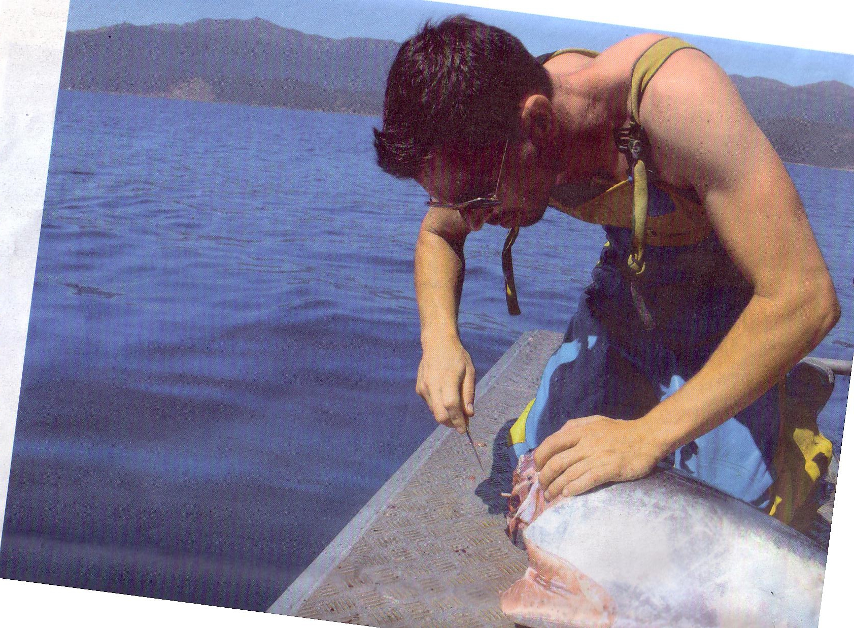 Direction Saint Florent et l'auberge du pêcheur pour déguster le thon rouge délicieusement préparé