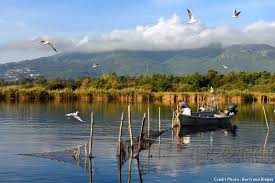 La licence régionale de pêche régionale de l'anguille est obligatoire pour pêcher dans les étangs insulaires.