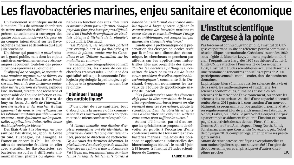 Les flavobactéries marines : Enjeu économique et sanitaire. 