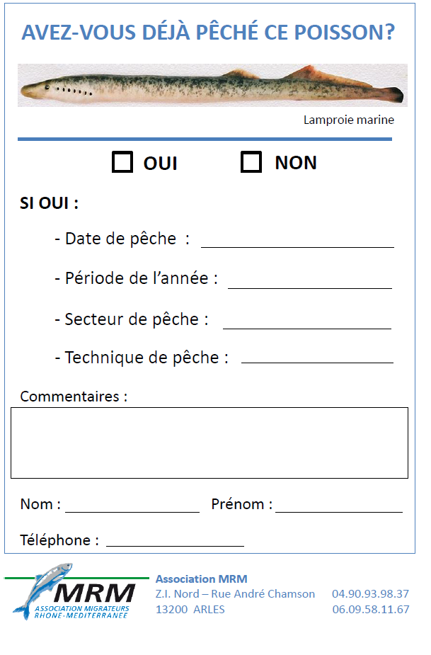 La lamproie et sa capture