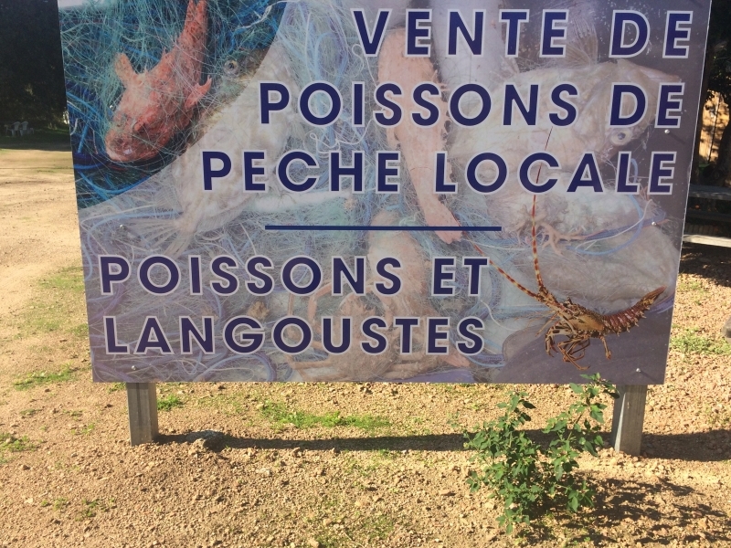 Schéma Régional de Développement et d’Equipements des ports de Pêche en Corse