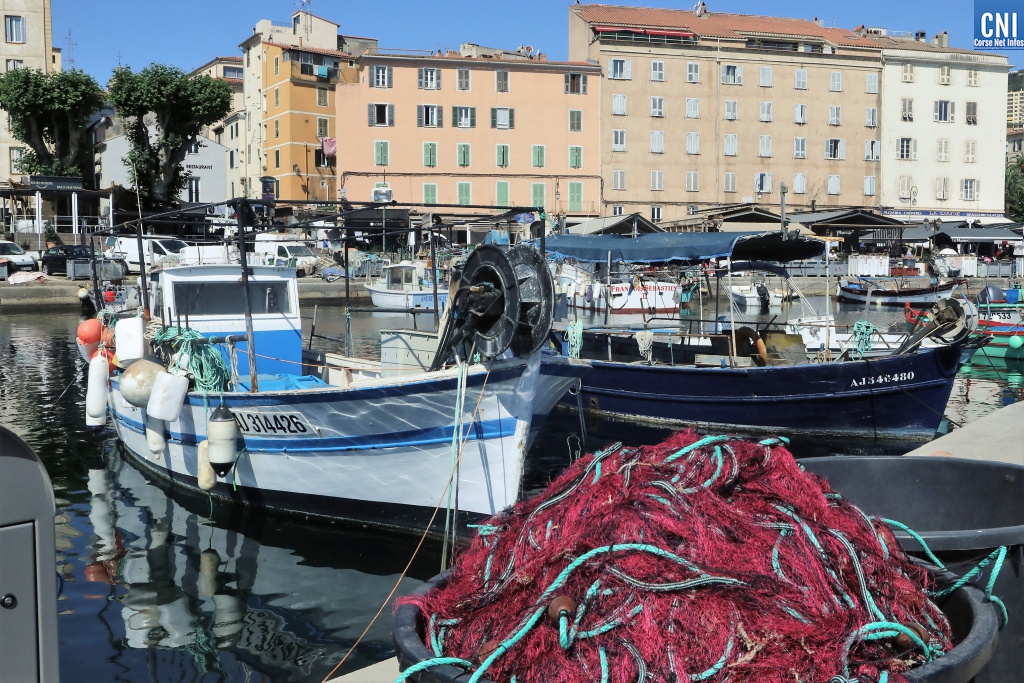 Port Tino Rossi, Ajaccio