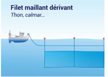 Interdiction totale d'utiliser les filets maillants dérivants