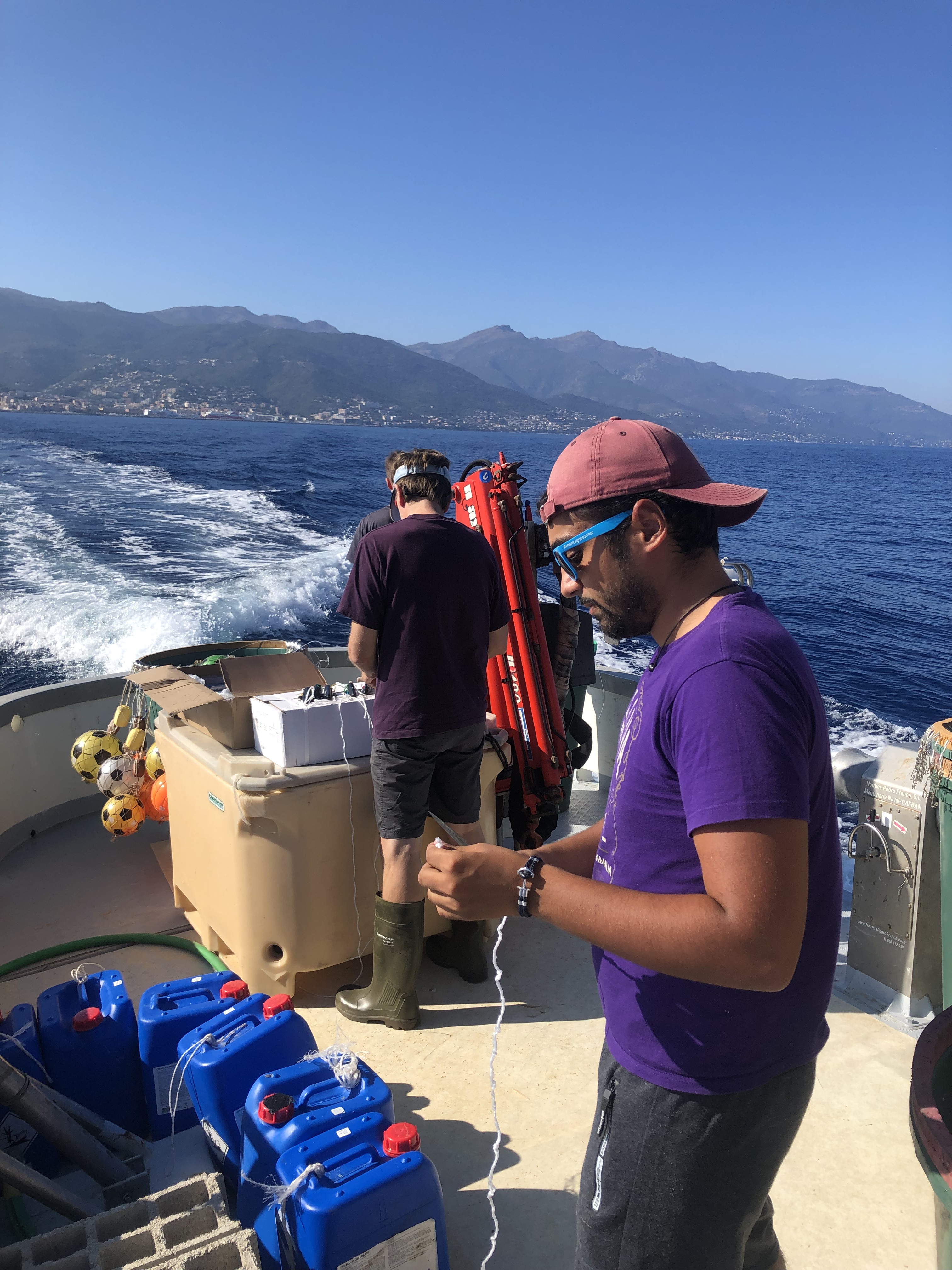 Le projet GENETREC en Corse