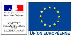 CORSIC'ANGE CORSIC'ANGE