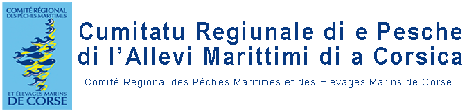 CORSIC'ANGE CORSIC'ANGE