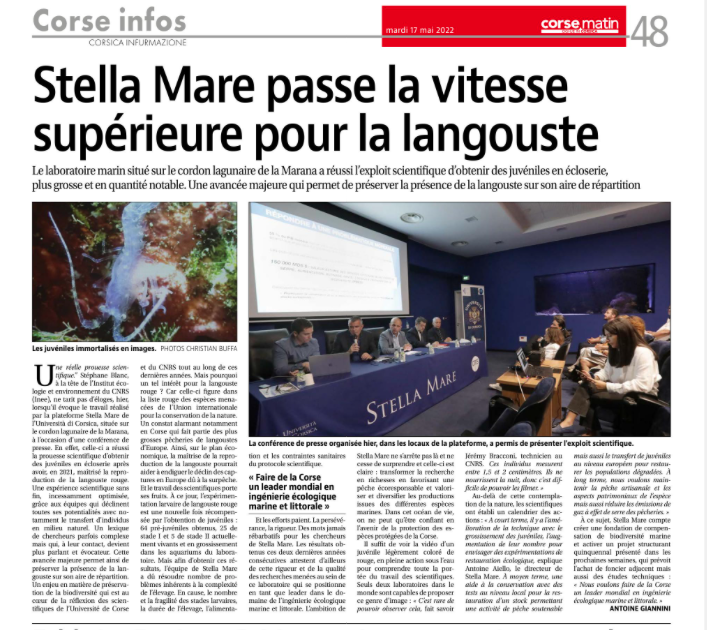 STELLA MARE à l'honneur