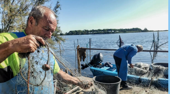 Les différentes techniques de pêche