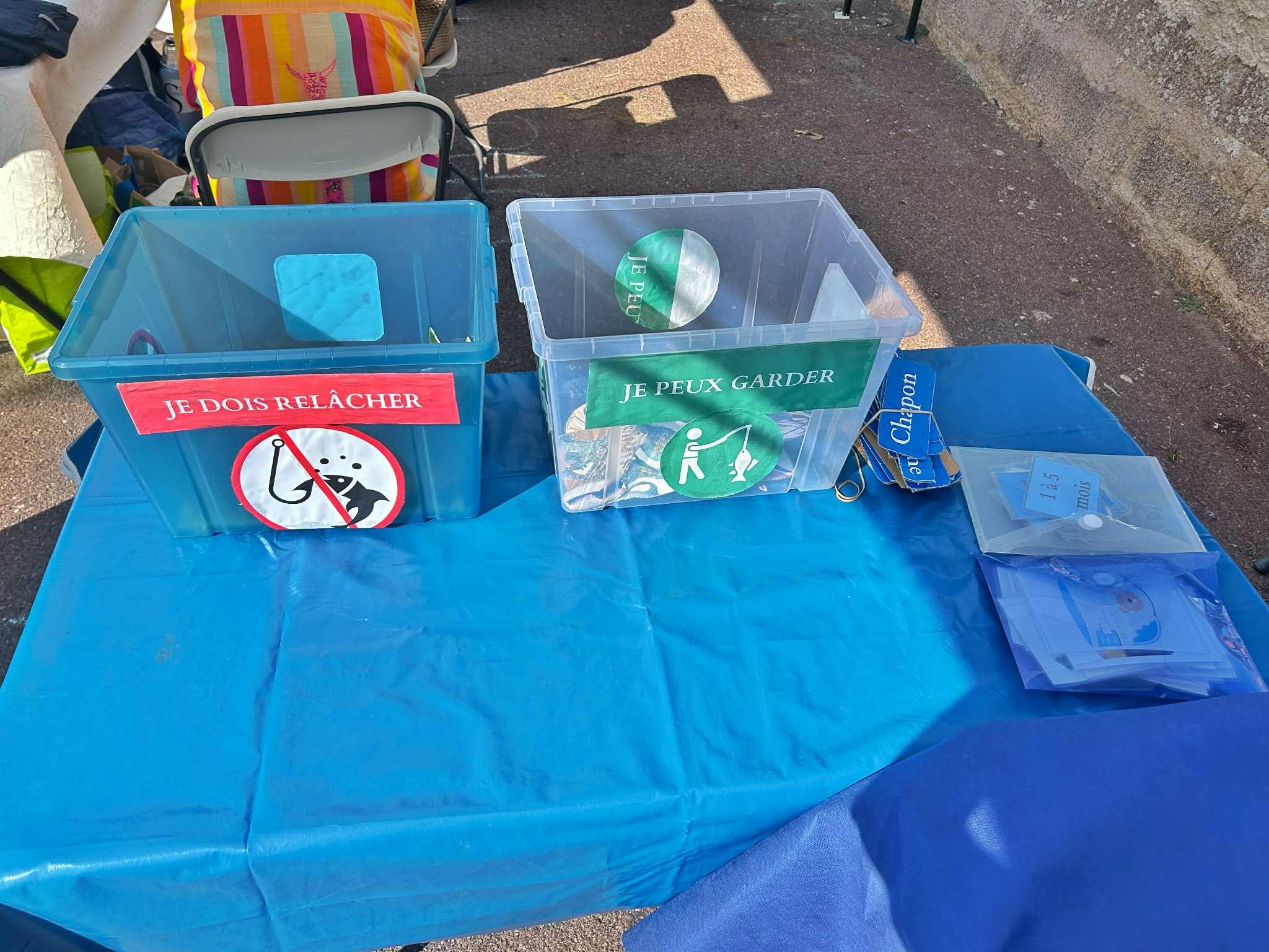 Apprendre les espèces marines