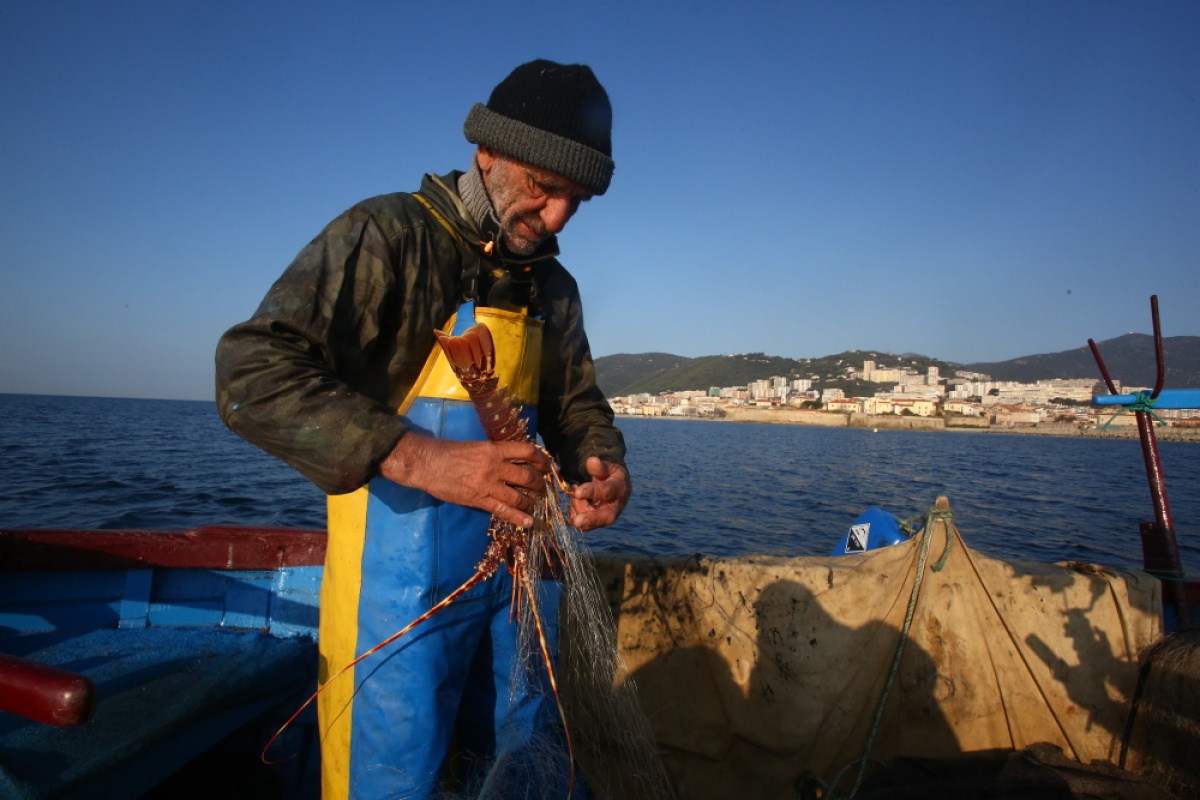 Fermeture de la langouste