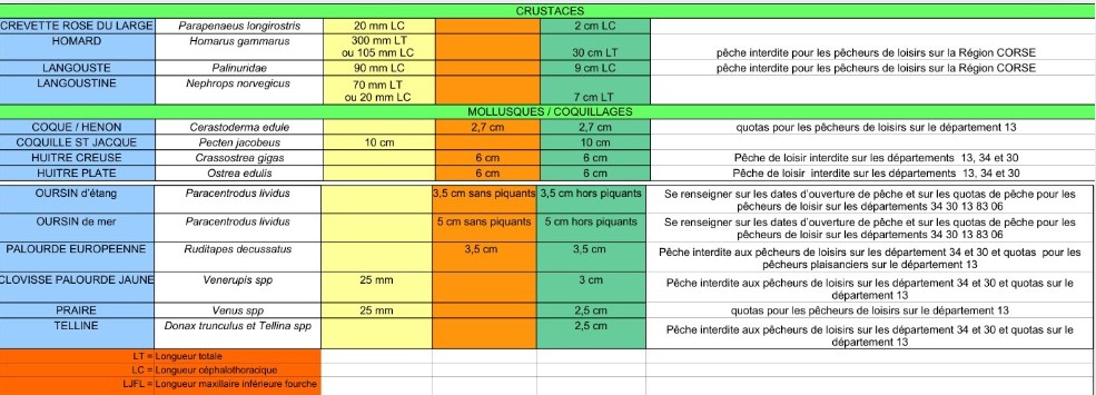 Tailles minimales de capture des poissons et autres organismes marins en mer Méditerranée