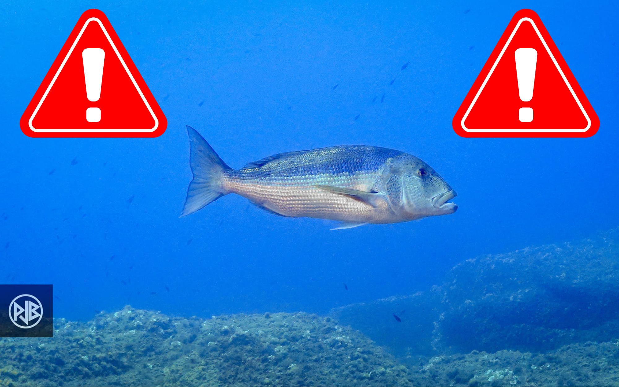 Requête pour annuler la réglementation sur le Denti rejetée