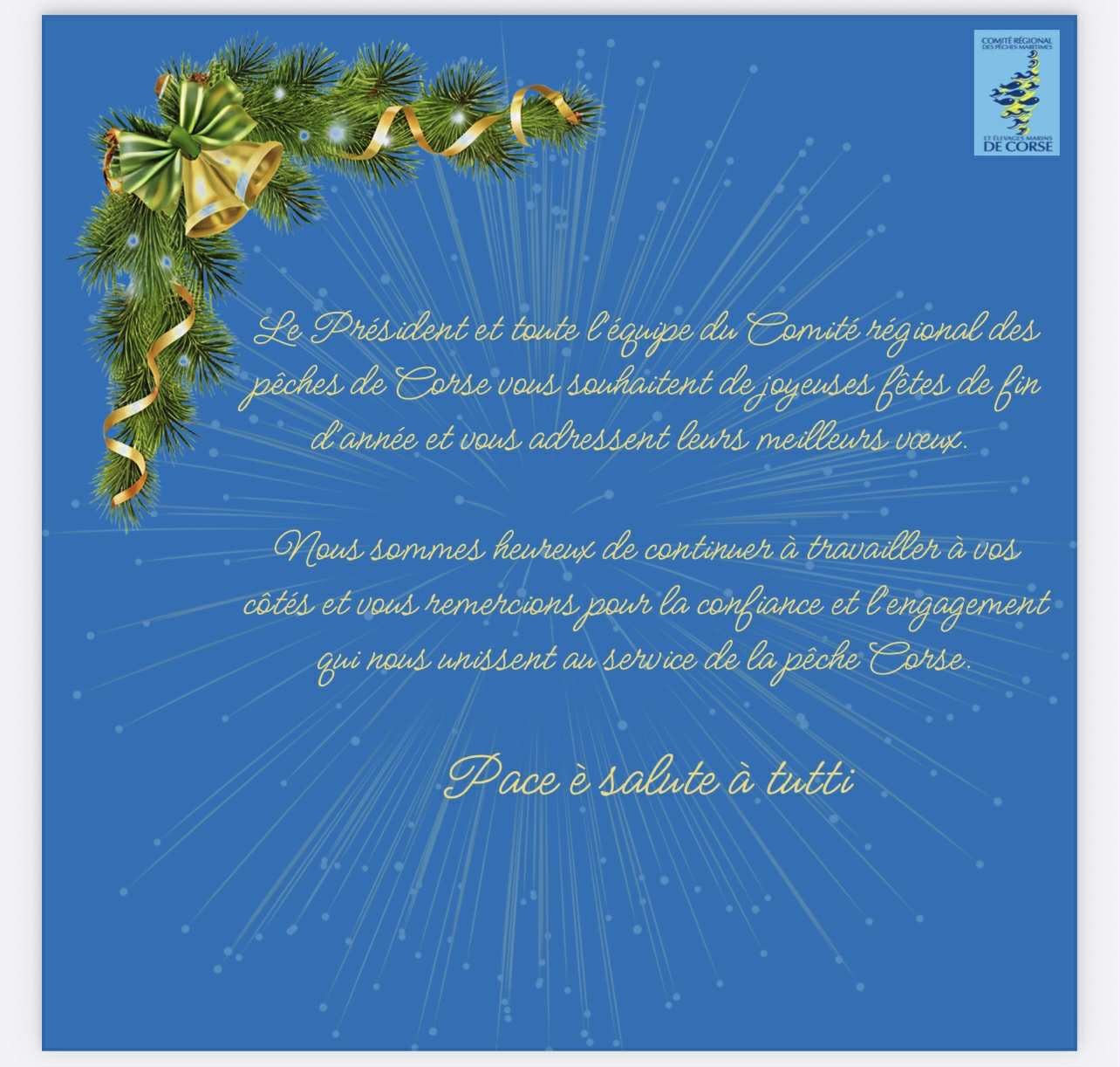 Meilleurs vœux 2026