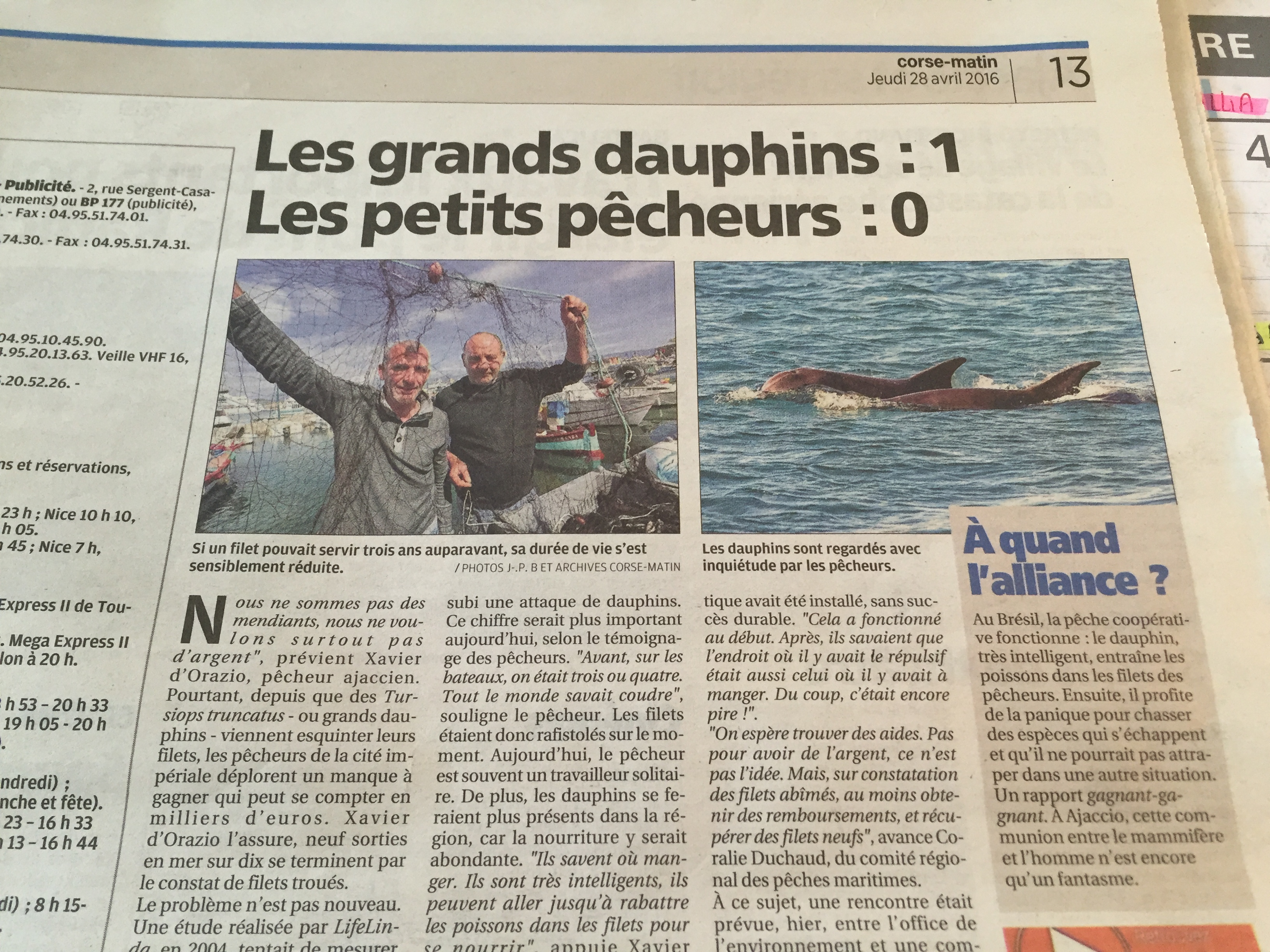 Les grands dauphins - les petits pêcheurs