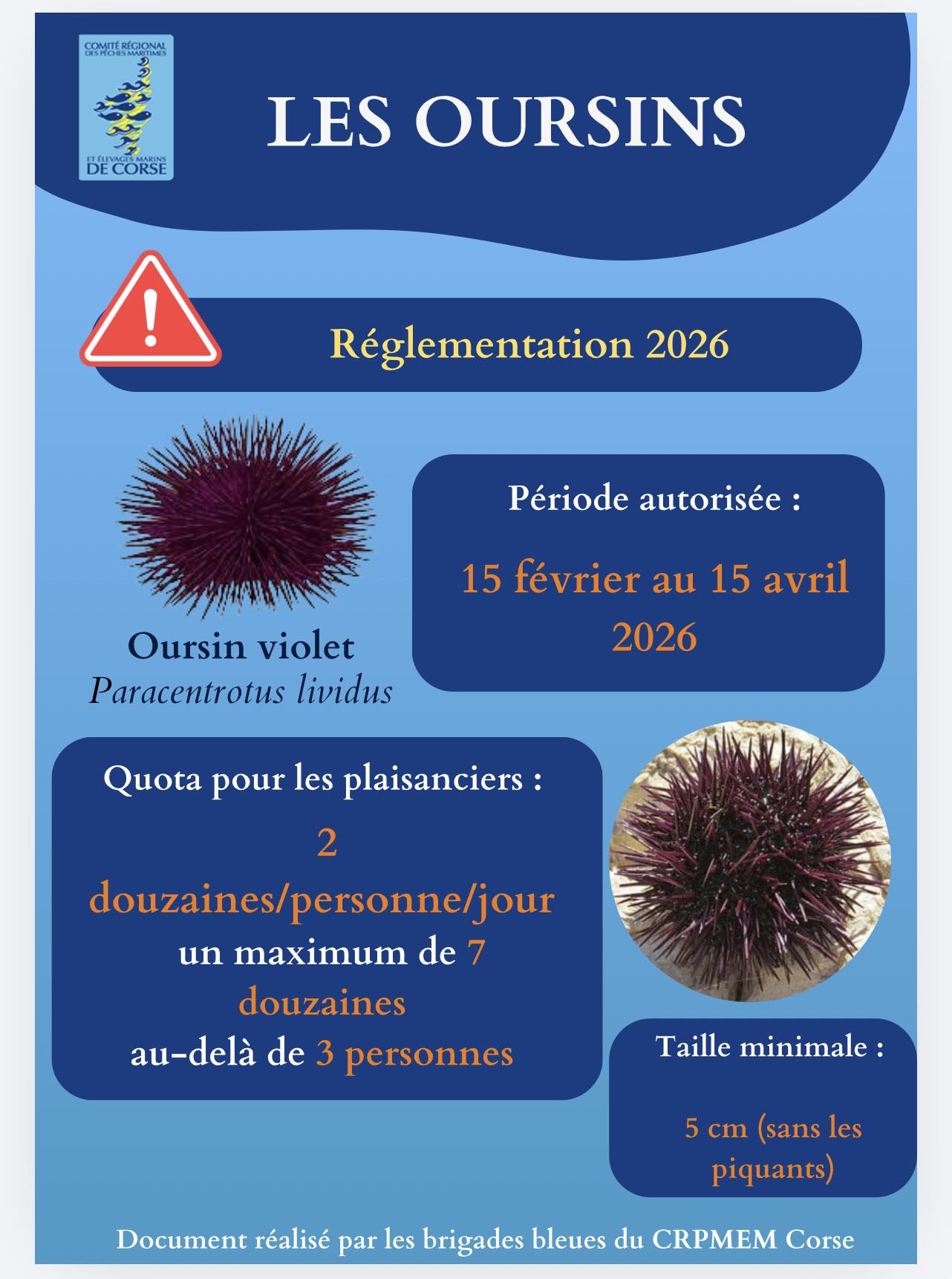 Ouverture de la saison Oursins 2026