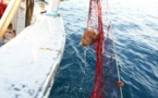 Le Pescaturisimu à Ajaccio