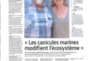 Canicule Marine
