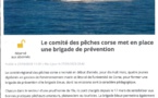 Présents sur les 4 Prud'homies de Corse, Alice (Bonifacio) Mattéo (Ajaccio), Charlotte (Bastia/Cap Corse),  Jérémy (Balagne) iront à l'encontre des pêcheurs amateurs, plaisanciers, touristes ou scolaires pour les sensibiliser aux bonnes pratiques DC