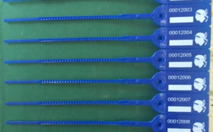 Bagues à poisson