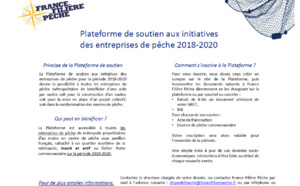 Programme de soutien aux initiatives des entreprises de pêche entre 2018 et 2020