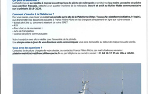 Nouvelle plateforme de soutien aux entreprises de pêche - France Filière Pêche