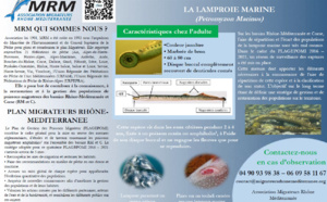 La lamproie et sa capture