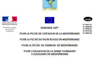 AEP Campagne 2019