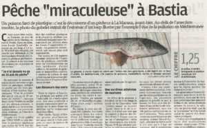 Une pêche bastiaise triste mais bien réelle