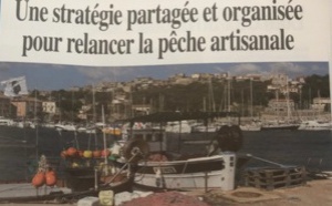 Article du petit Bastiais sur le programme DACOR et la pêche artisanale insulaire