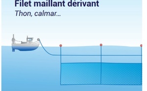 Interdiction totale d'utiliser les filets maillants dérivants