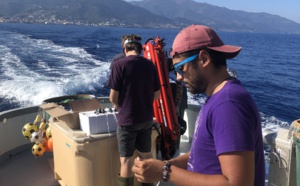 Le projet GENETREC en Corse