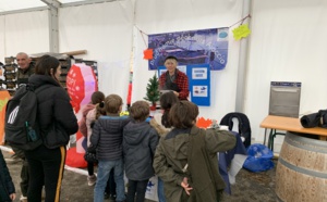 Fiera di a Castagna