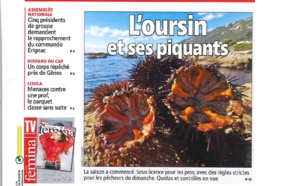 OURSIN OUVERTURE 15 DECEMBRE 2021 (18/12/2021)