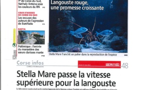 STELLA MARE - LANGOUSTE (17/05/2022)