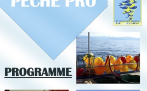 Circuit découverte du métier de pêcheur professionnel