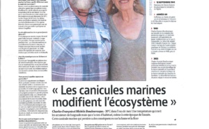 Canicule Marine (11/08/2022)