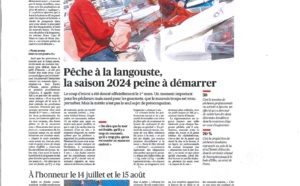 Langouste (06/03/24)