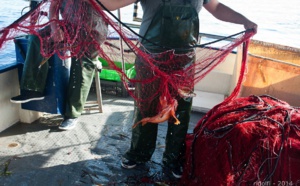 Les différentes techniques de pêche