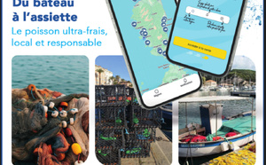 VITRINE NUMERIQUE