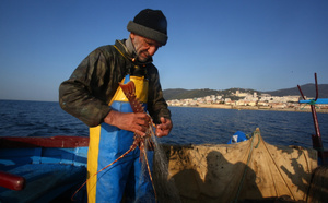 Fermeture de la langouste