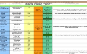 Tailles minimales de capture des poissons et autres organismes marins en mer Méditerranée