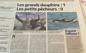 Les grands dauphins - les petits pêcheurs